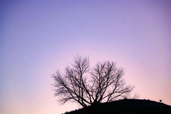 Захід Сонця Горі Ябалоя Теруель Синє Пурпурне Світло Фоновим Деревом — стокове фото