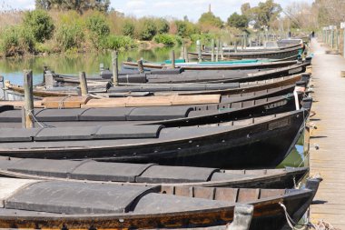 Albufera de Valencia ve onun fauna ve bitki örtüsü bölgesindeki farklı eski balıkçı teknelerinin fotoğraf çekimi.
