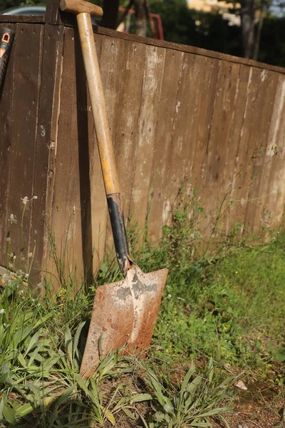 Bahçede fotoğraf çekimi. farklı türde nesneler ve bitkiler