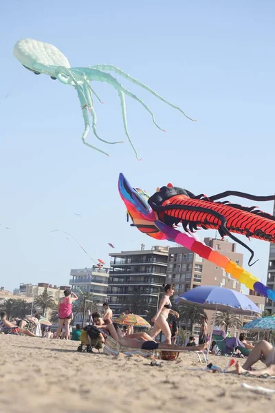 Gandia, Valencia sahillerinde farklı tipte uçurtmalar uçurmak için güneşli ve mükemmel bir gün.