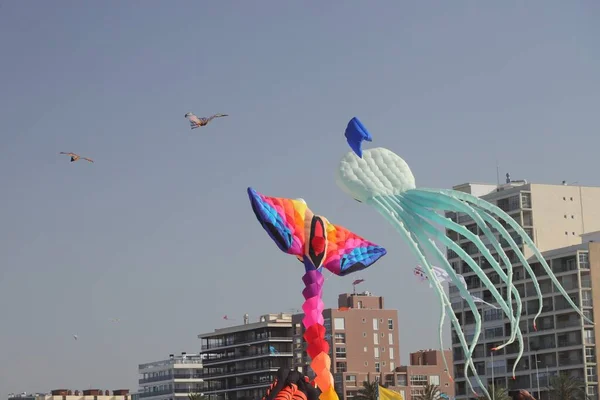 Día Soleado Perfecto Playa Gandia Valencia Para Volar Cometas Diferentes — Foto de Stock