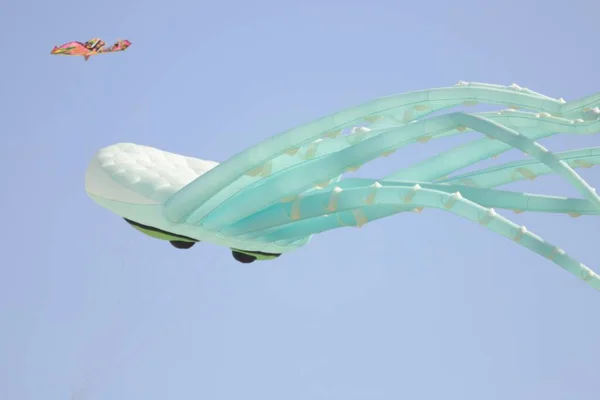 Sunny Perfect Day Beach Gandia Valencia Fly Kites Different Types — Stock Photo, Image