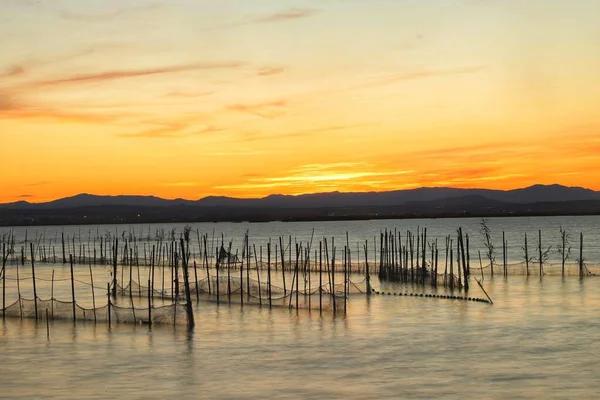 Fotosession Albufera Valencia Vid Solnedgången — Stockfoto