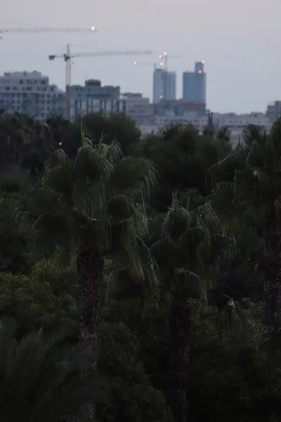 View City Capital Valencia — Φωτογραφία Αρχείου