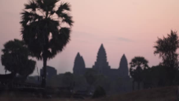 El hombre viene a mirar el antiguo palacio distante en la mañana, Angkor Wat Temple — Vídeo de stock