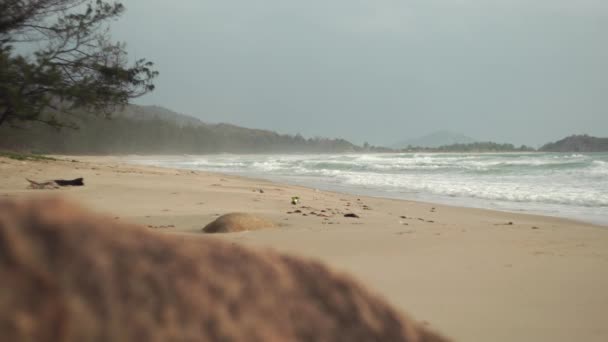 Deniz dalgaları kasvetli bir günde Vietnam kıyılarını yıkıyor. — Stok video