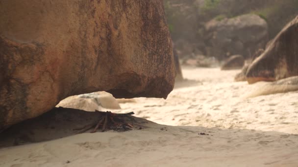 Pequeños quemadores de hogueras esparciendo humo en la playa salvaje durante el día — Vídeos de Stock