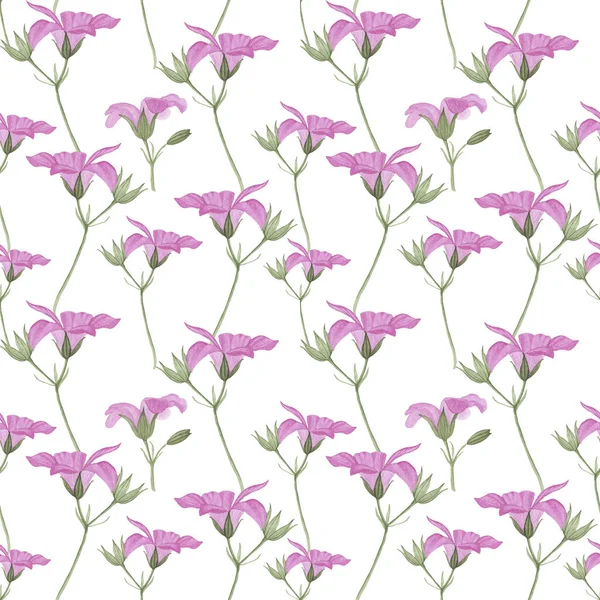 Akvarell rózsaszín virág minta. Kézzel rajzolt botanikai illusztrációk textiltervezéshez. Stock Kép