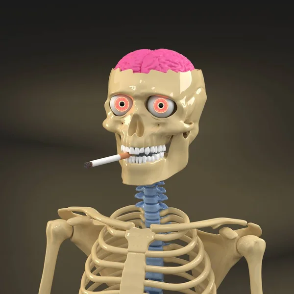 Esqueleto Huesos Delgados Con Cerebro Columna Vertebral Color —  Fotos de Stock