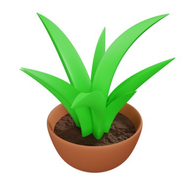 Saksıdaki bitkilerin 3 boyutlu oluşturulması