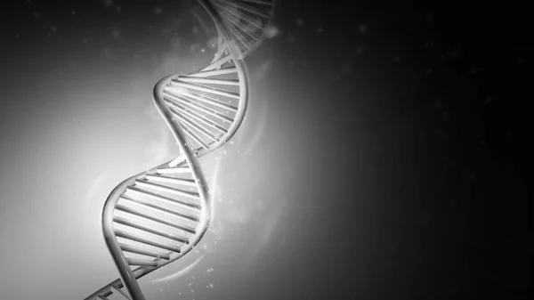 DNA dubbele helix model in grijze kleuren, 3D render. — Stockfoto