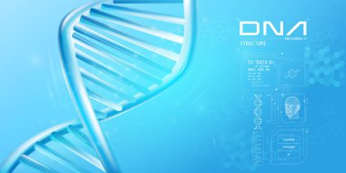 Bilgisel elementlere sahip çift sarmal DNA parçası.