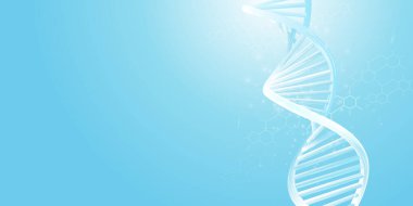 Açık mavi arkaplanda DNA çift sarmal modeli.