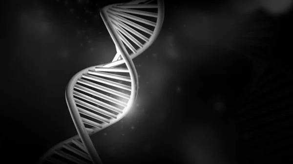 DNA dubbele helix model op een zwarte achtergrond, 3D render. — Stockfoto