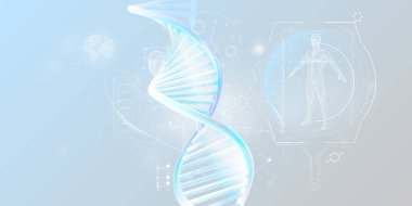 DNA çift sarmal ve insan araştırma bilgileri.