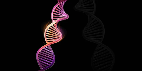 DNS kettős helix modell egy fekete háttér. — Stock Vector