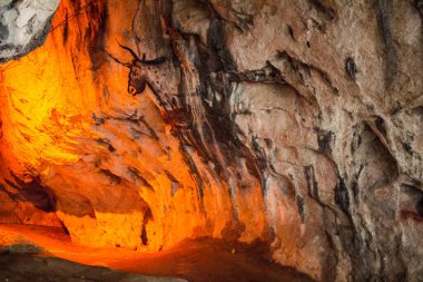 Tarih öncesi dönemde Romanya 'daki derin bir mağarada yaratılmış bir yaban öküzünü resmeden bir tablo..