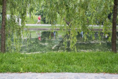 Romanya 'nın Bükreş kentindeki Alexandru Ioan Cuza halk parkındaki dış faaliyetler.