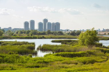 Vacaresti Doğal Rezervi, bitki örtüsü tarafından işgal edilen ve Tuna Deltası 'na benzer bir ekosistem oluşturan yapay bir gölün eski bir temelinde yer almaktadır. Şimdi, o zamandan beri inşa edilen modern binalarla çevrelenmiş durumda..