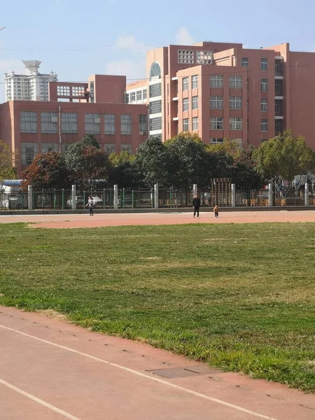 stock image modern city in the park