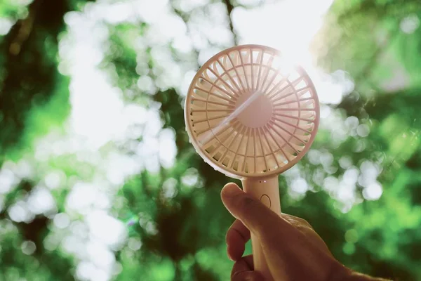 hand holding a fan in the park