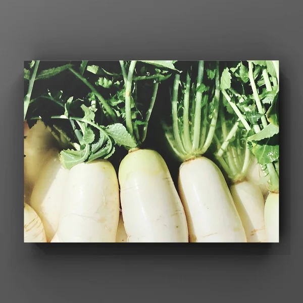 fresh green vegetables on a black background