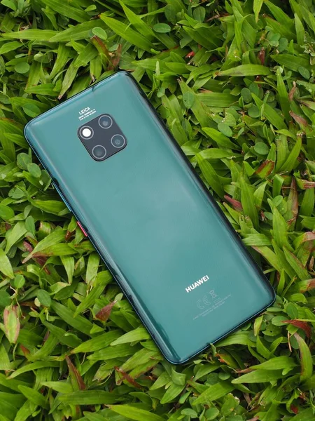 mobile phone with green screen on the grass