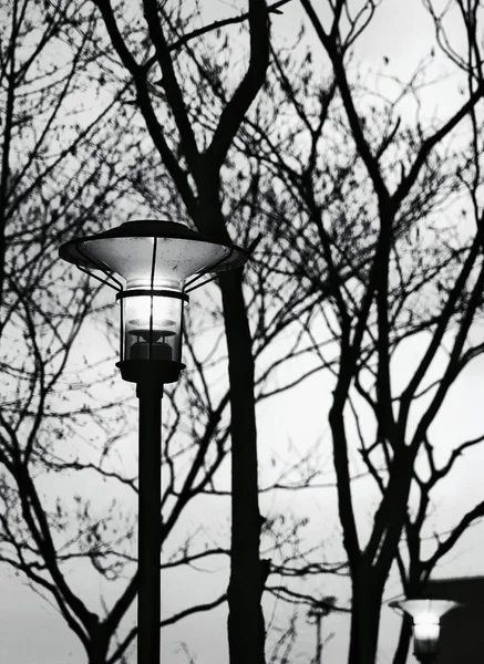 street lamp in the city park