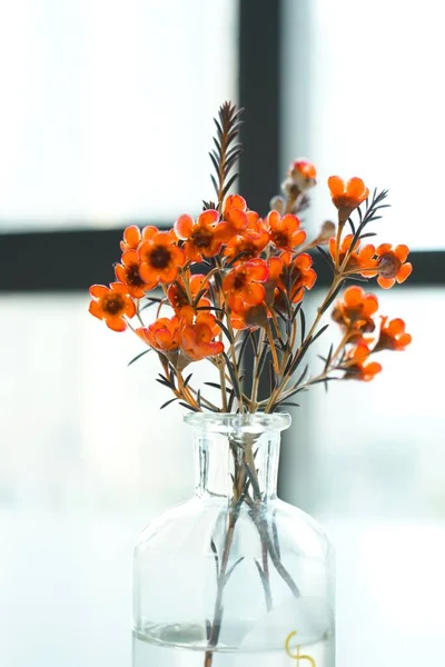 beautiful flowers in a glass vase on a white background