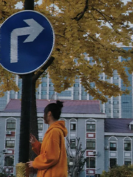 street sign with a pedestrian crossing, a person is standing on a road, a city, a view