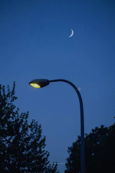 street lamp in the night sky