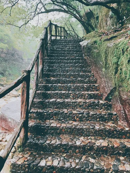 old wooden stairs in the forest