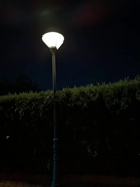 street lamp in the night