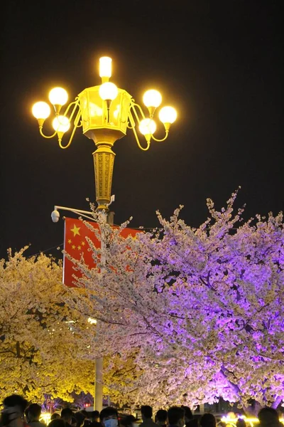 street lamp in the night