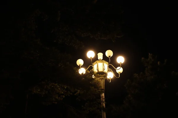 street lamp in the night sky