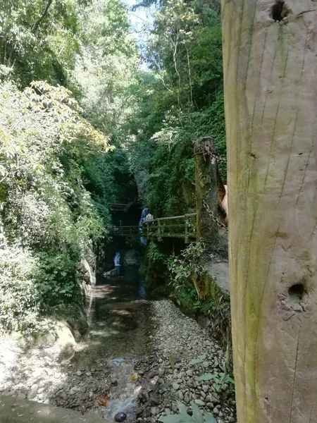 beautiful landscape with a waterfall