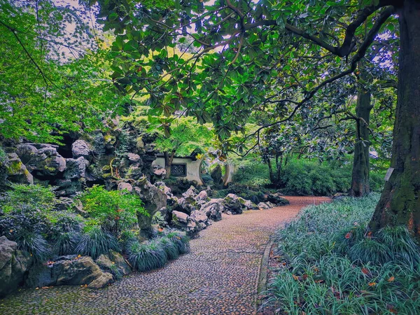 beautiful landscape with a waterfall in the park