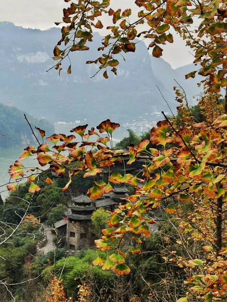 beautiful autumn landscape with trees and leaves