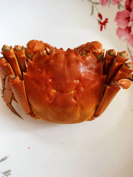 fresh crab on white background
