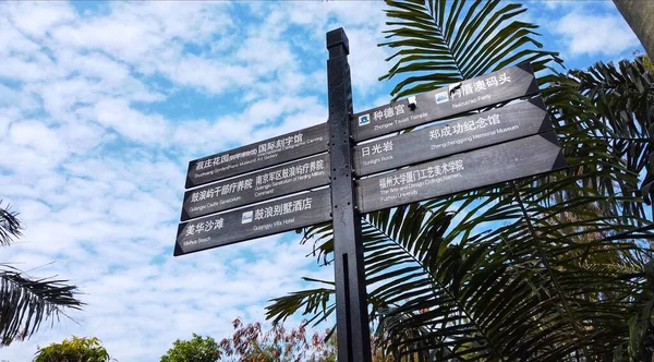 street sign with palm trees and blue sky