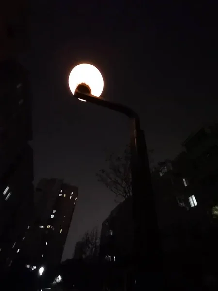silhouette of a street lamp in the night
