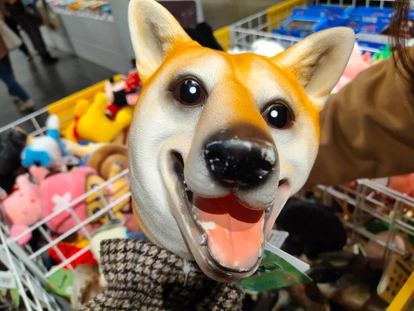 dog in a shopping cart