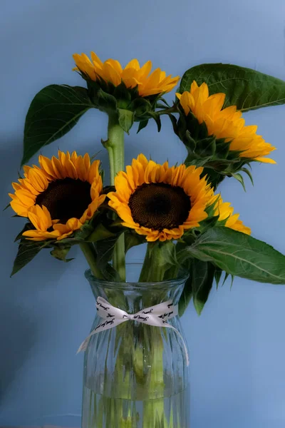 beautiful bouquet of sunflowers in a vase on a background of a blue sky