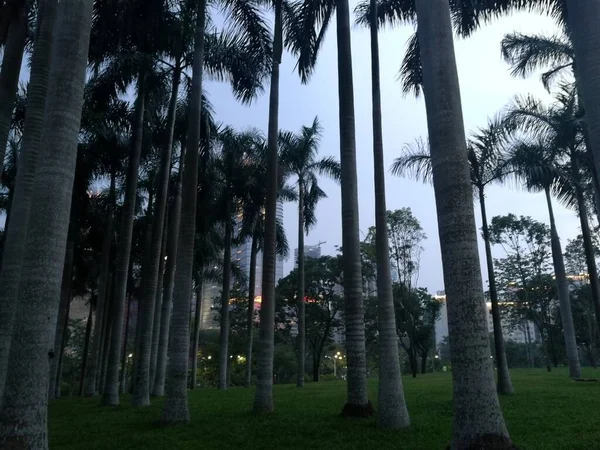 stock image beautiful view of the park