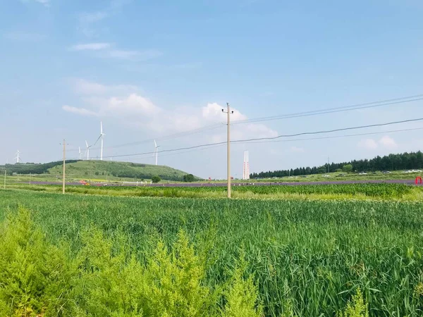 green power plant in the field