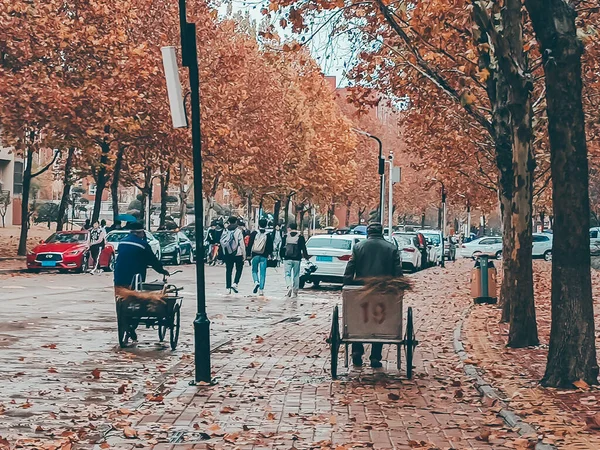 autumn park in the city