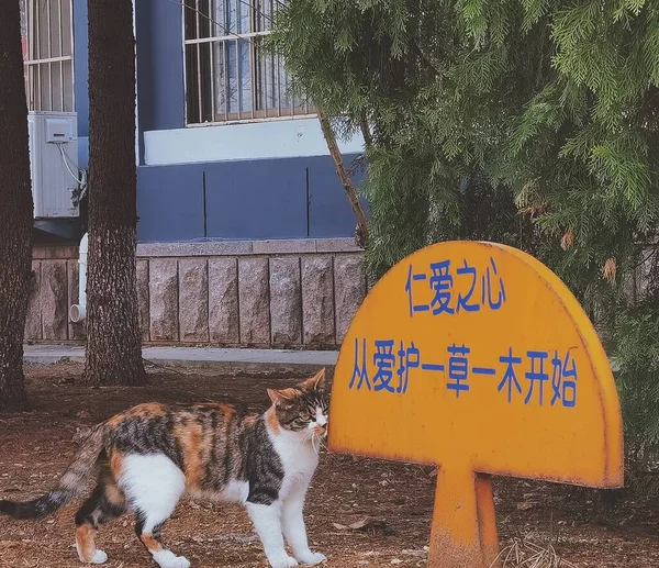 street sign with a dog and a cat