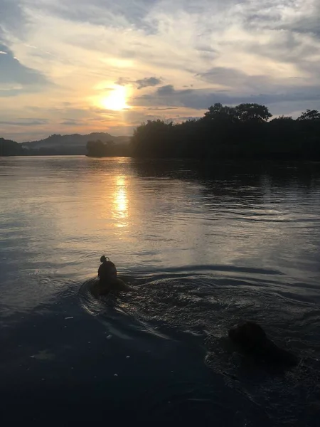 silhouette of a man on the lake