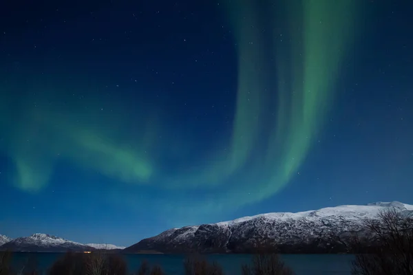 Krásná Severní Světla Nad Arktickým Mořem Norsku — Stock fotografie