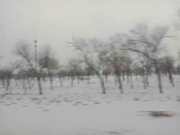 stock image beautiful winter landscape with trees and snow